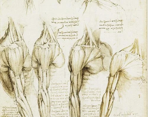 Los cuadernos de Leonardo da Vinci