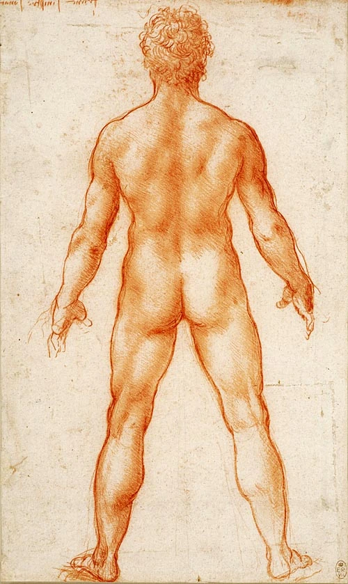 tratado-anatomia-leonardo-da-vinci